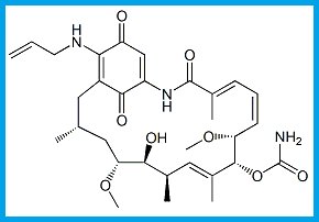 GELDANAMYCIN 17-ALLYLAMINO